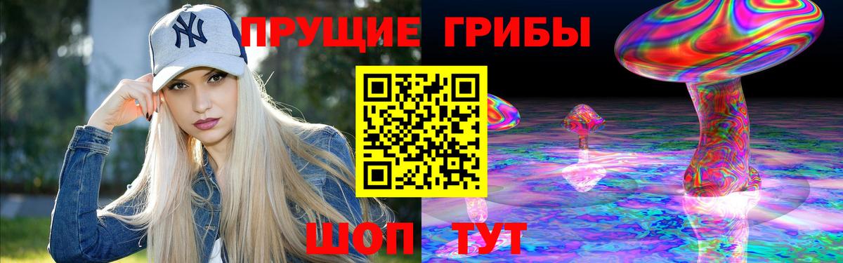 Галлюциногенные грибы Psilocybine cubensis  Псилоцибиновые грибы прущие грибы  Мурино  Вход с VPN 
