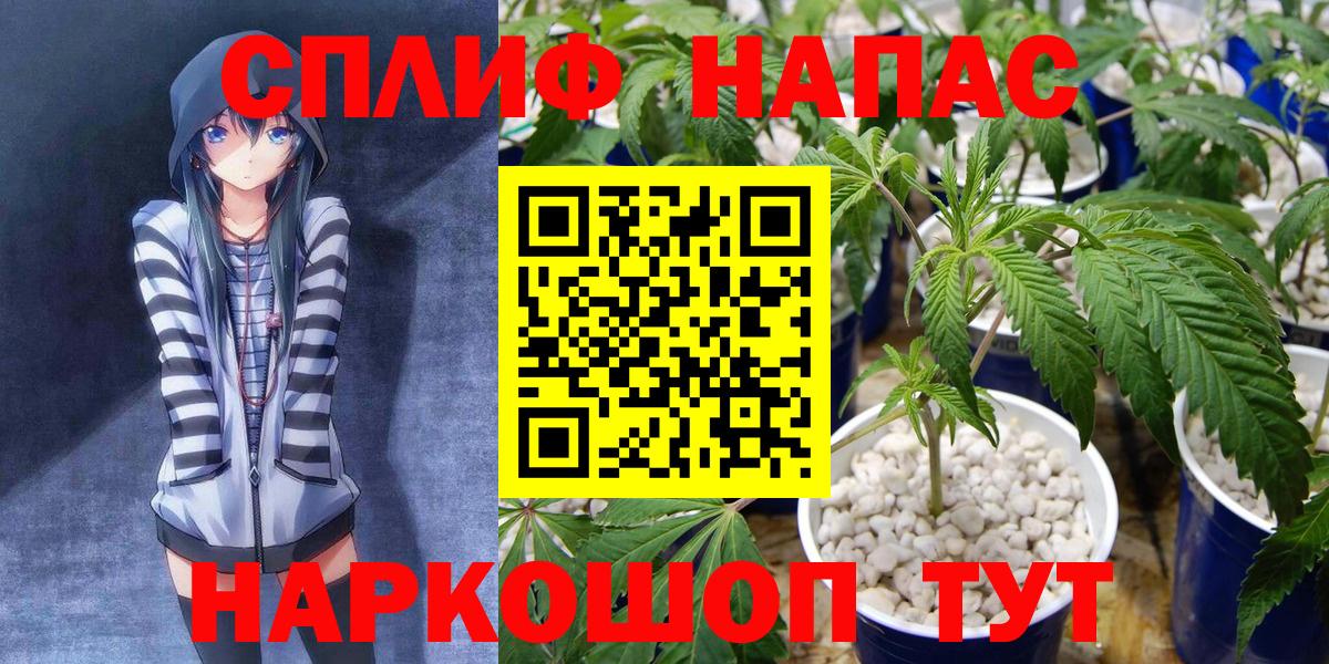 Каннабис Ganja  Канабис семена  Шишки марихуана THC 21%  Вход с VPN  Мурино 
